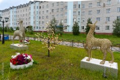 now_zemlya-12
