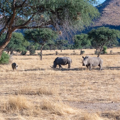 namibia-15