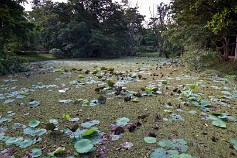 SriLanka-10