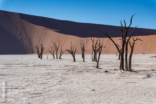 Намибия namibia